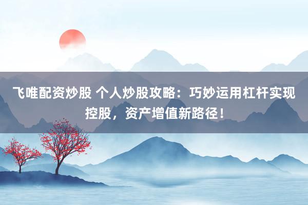 飞唯配资炒股 个人炒股攻略：巧妙运用杠杆实现控股，资产增值新路径！