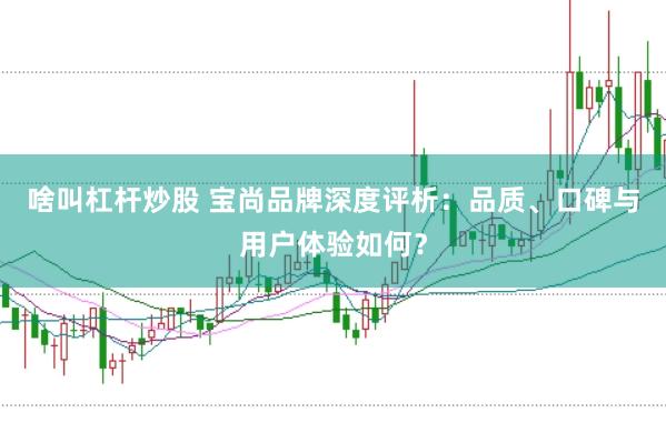 啥叫杠杆炒股 宝尚品牌深度评析：品质、口碑与用户体验如何？