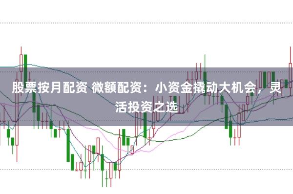 股票按月配资 微额配资：小资金撬动大机会，灵活投资之选