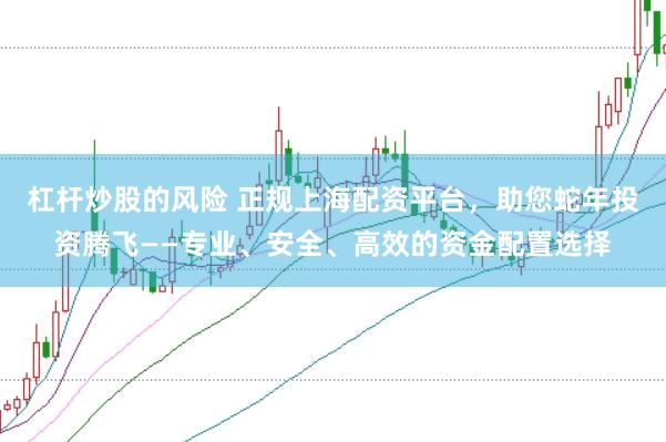 杠杆炒股的风险 正规上海配资平台，助您蛇年投资腾飞——专业、安全、高效的资金配置选择