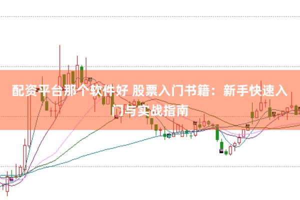 配资平台那个软件好 股票入门书籍：新手快速入门与实战指南