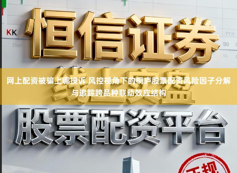 网上配资被骗上哪投诉 风控视角下的桐庐股票配资风险因子分解与追踪跨品种联动效应结构