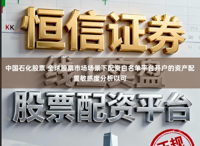 中国石化股票 全球股票市场场景下配资白名单平台开户的资产配置敏感度分析以可