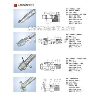 供应不锈钢金属软管,质量保证,价格最低! 电话:0318-4313210 - 供应不锈钢金属软管,质量保证,价格最低! 电话:0318-4313210厂家 - 供应不锈钢金属软管,质量保证,价格最低! 电话:0318-4313210价格 - 衡水高峰管业 - 